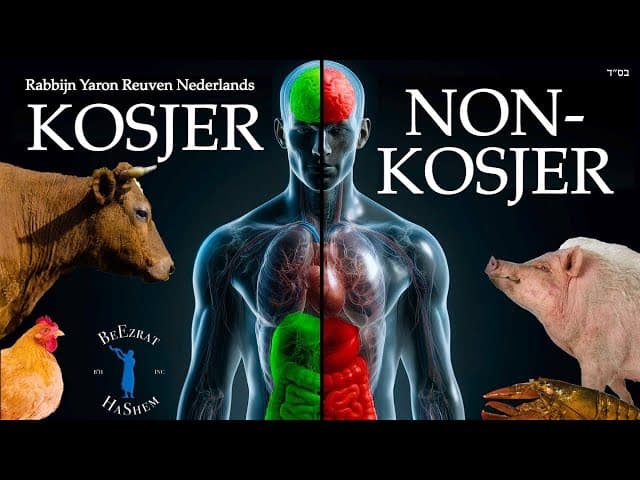 Hoe niet-kosjer voedsel lichaam en ziel beïnvloedt