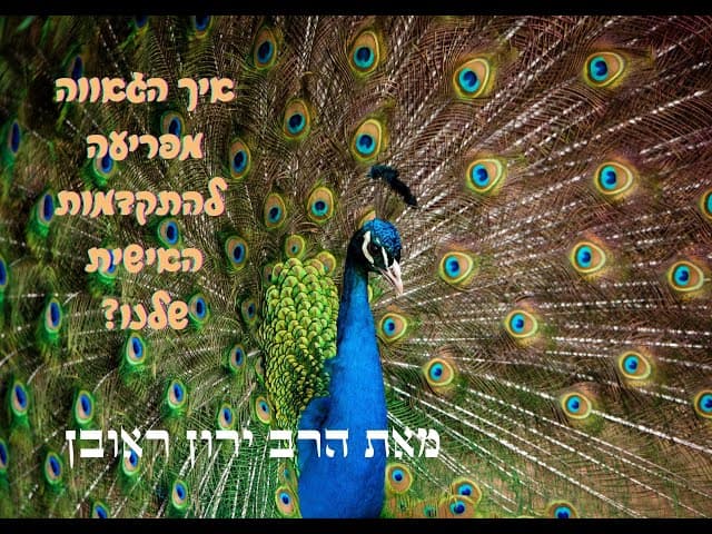 איך להתמודד עם גאווה ~ הגאווה מפריעה להתקדמות האישית