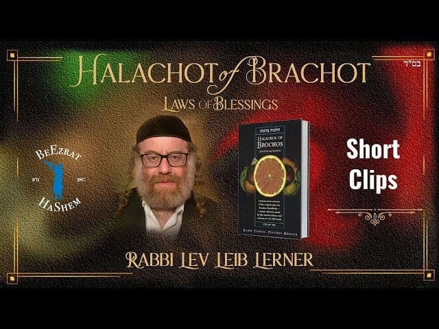 Definition of snack bread: Pouch  (Halachos of Brochos)
