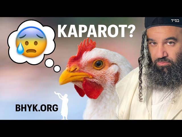 Chickens for Kaparot Yom Kippur 2024