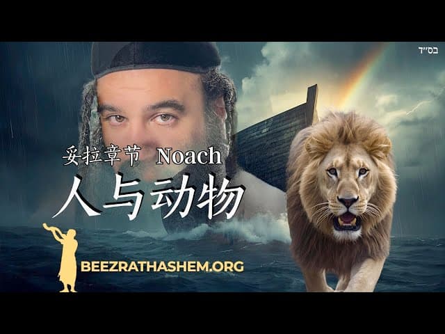 挪亚篇: 人与动物的区别是什么?