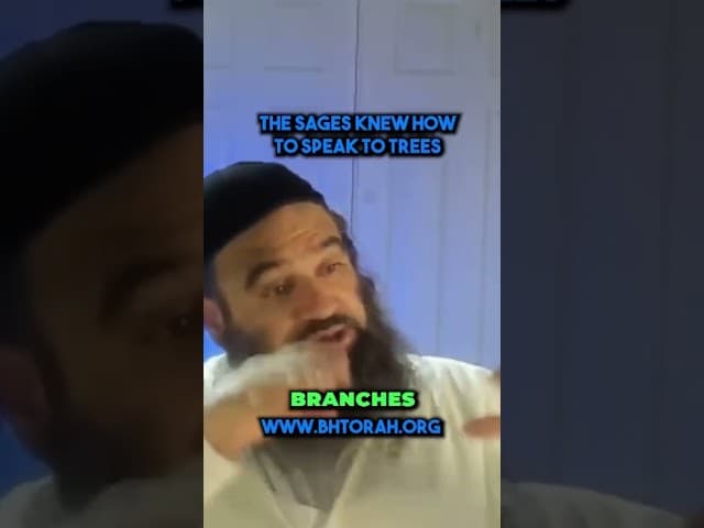 Speaking to trees by Jewish sages