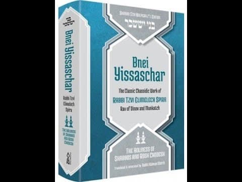 A Jewish Story of Rabbi Tzvi Elimelech Spira of DINOV