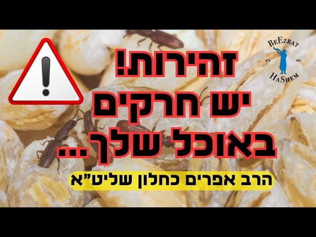 זהירות מחרקים