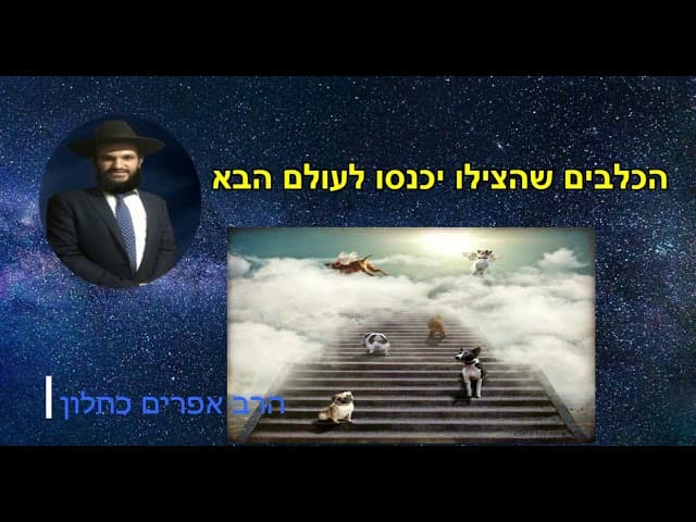 הכלבים שהצילו יכנסו לעולם הבא