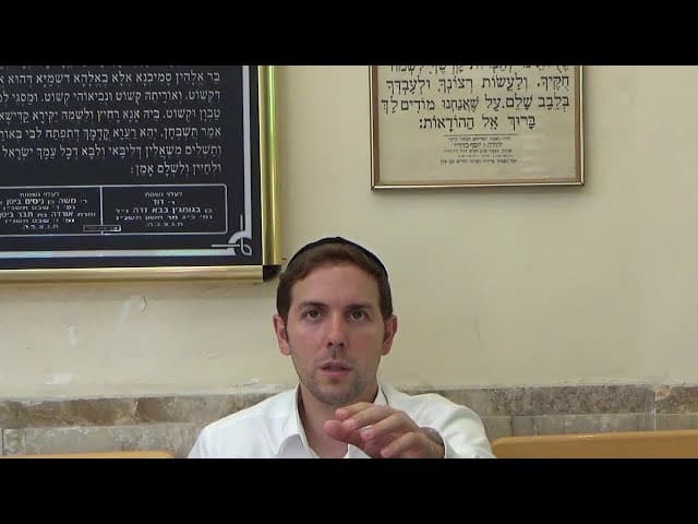 הרב יוסף שרביט  -  בביאור חלקי הזהירות