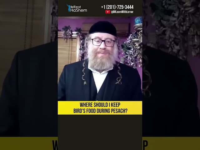 🐤 Where should I keep bird's food during Pesach? #Torah #shorts