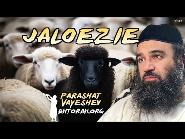De gevaren van jaloezie - Parashat Vayeshev