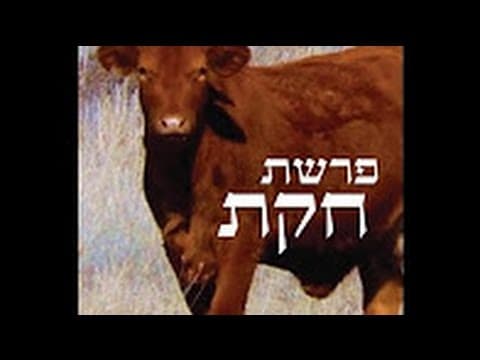 שיחת חיזוק (14) בטלפון (פרשת חקת, האם התורה עדיין רלוונטית לדור שלנו?) בתכנית TorahMates
