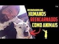 Reencarnação