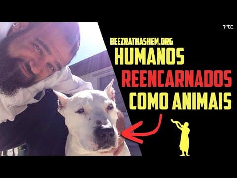 Reencarnação