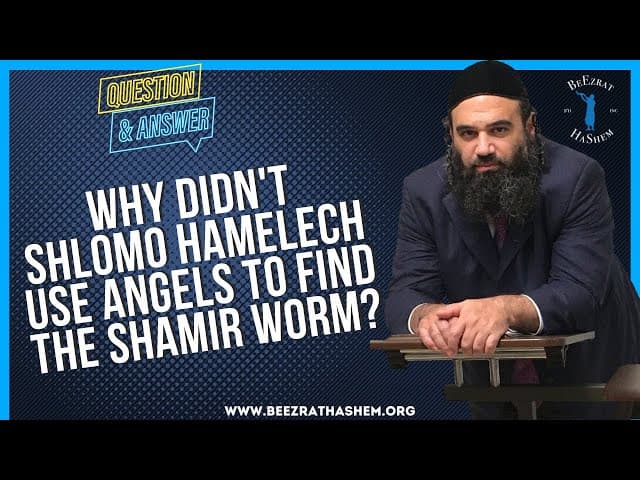 WHY DIDN'T SHLOMO HAMELECH USE ANGELS TO FIND THE SHAMIR WORM?