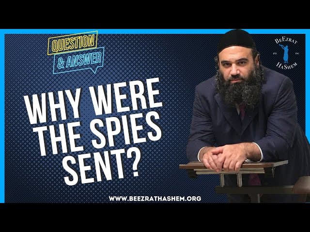 WHY WERE THE SPIES SENT?