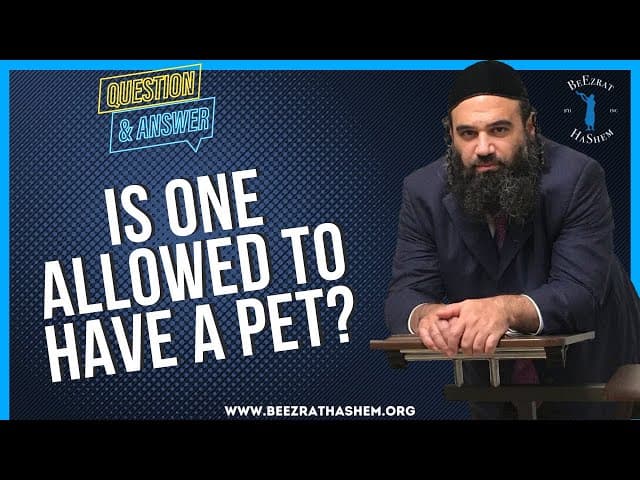IS ONE ALLOWED TO HAVE A PET?