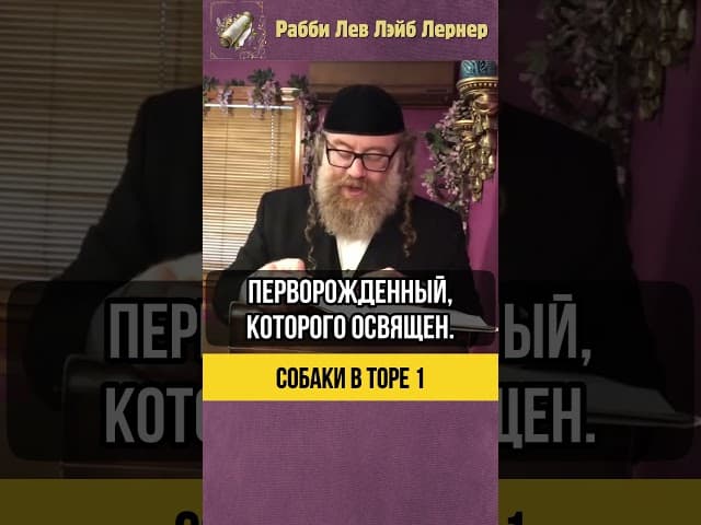 [1] Собаки в Торе 🐶 Можно ли спать с собакой в одной комнате? #Тора #shorts