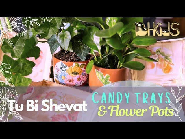 Tu b'Shevat Candy Trays & Flower Pots