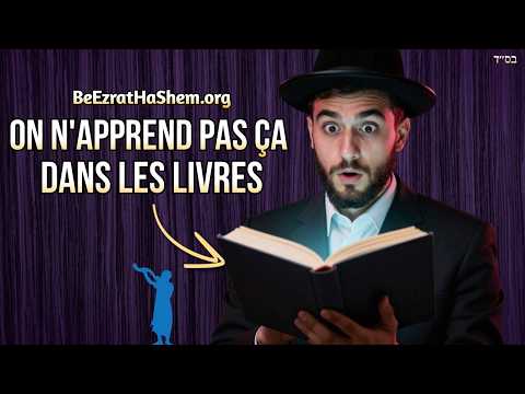 Leçons de Vie de la Torah