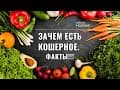 Кашрут. (Вопросы и ответы)