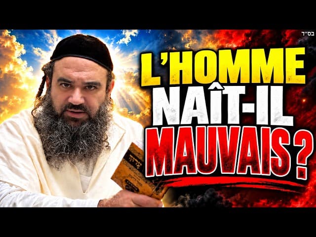 Noé:  Le Mal Est Il Inné Ou Acquis  | Stump The Rabbi 219