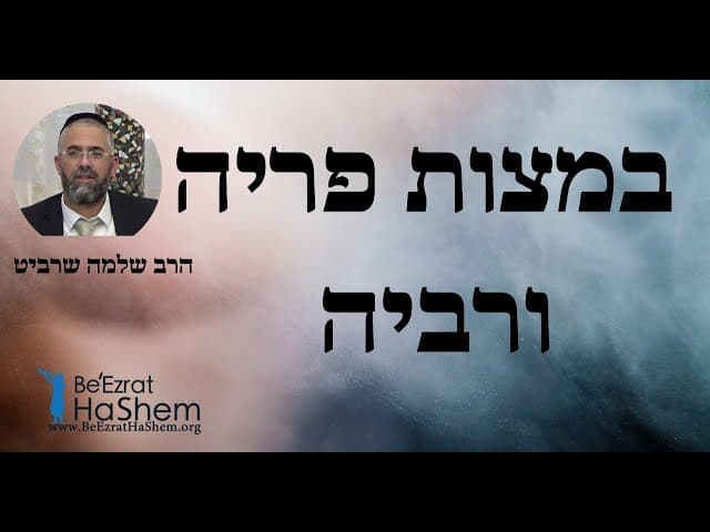 הרב שלמה שרביט - במצות פריה ורביה