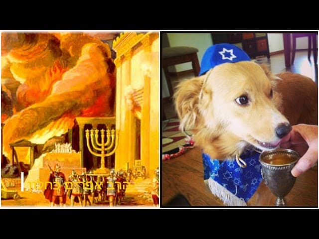 ​האם אנחנו עוד מנצחים את המלחמה נגד היוונים הרב אפרים כחלון