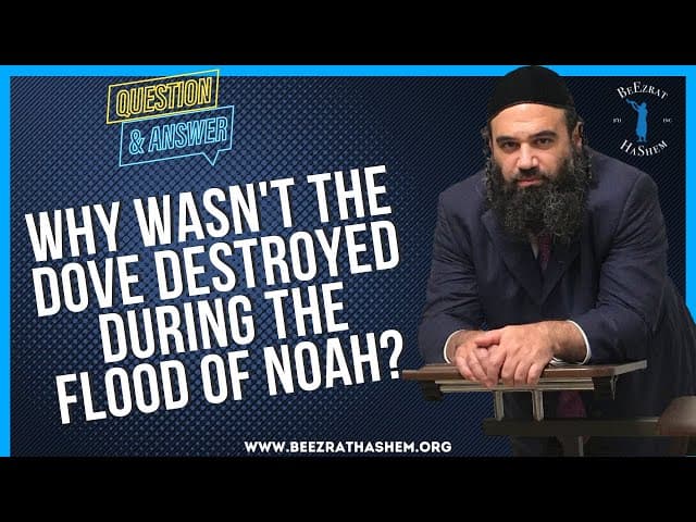   WHY WASN T THE DOVE DESTROYED DURING THE FLOOD OF NOAH