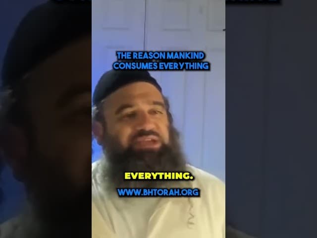 Why do people eat everything