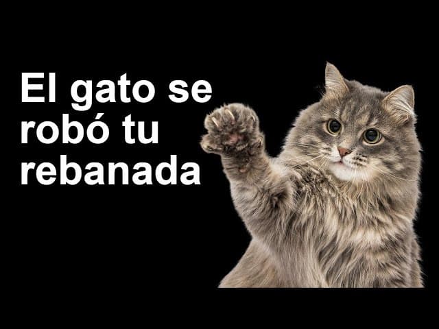El gato se robó tu rebanada