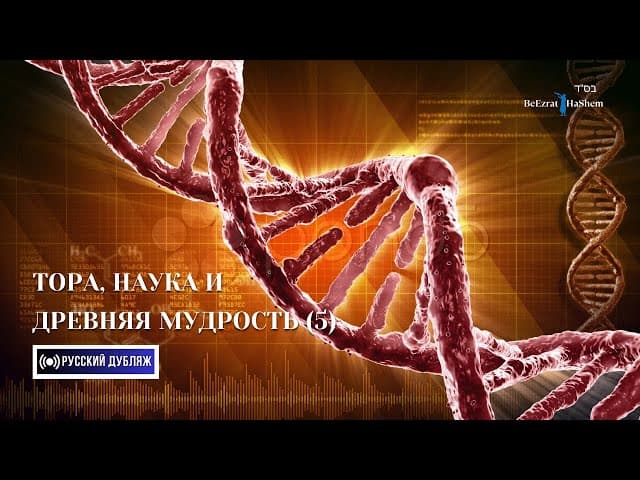 5. Тора, Наука и Древняя Мудрость ｜Часть 5 ｜ Русский дубляж ｜ Раввин Ярон Реувен