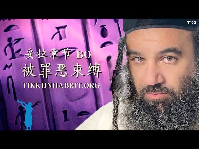 Parashat Bo - 被罪恶困住