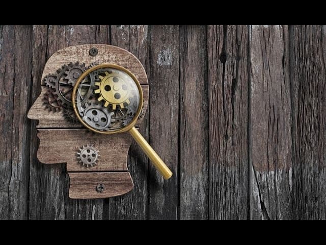 What Does The Torah Say About People Who Have No Wisdom
