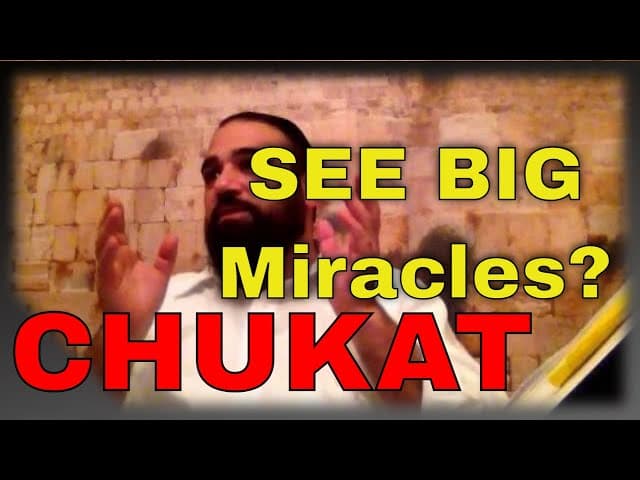 Parashat Chukat, Why Don't We Have Open Miracles Like Torah?