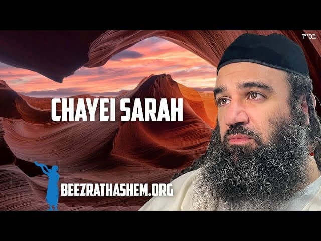 Parachat Hayé Sarah : Une mitsva durable