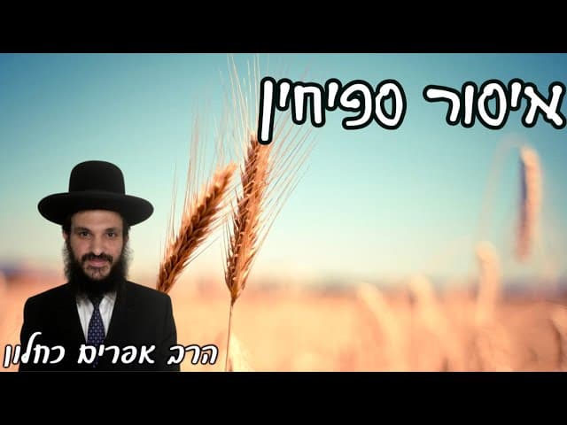 איסור ספיחין | קצרים