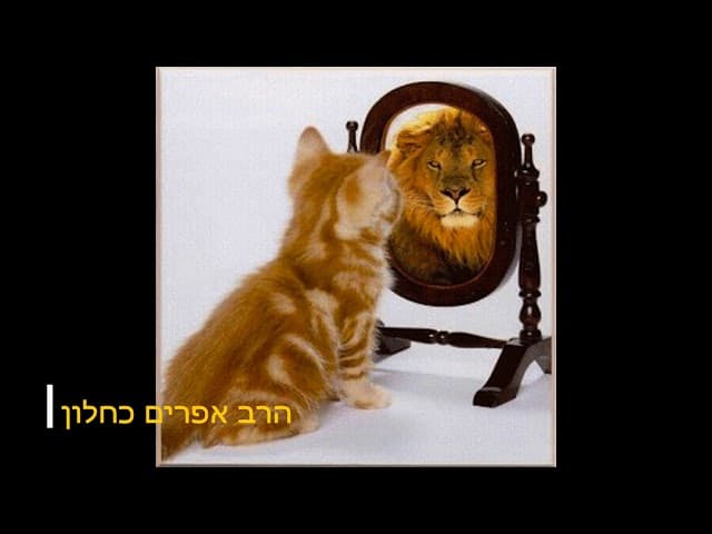הגיע הזמן לשמוע את האמת המצחיקה הרב אפרים כחלון