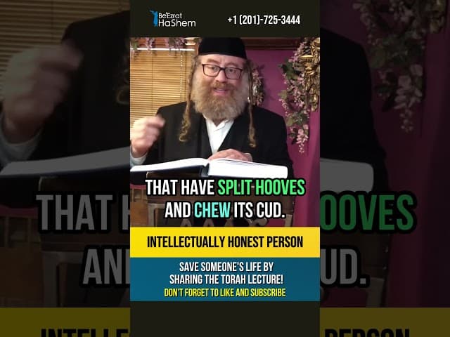 How many Torah proofs do you need ⁉️ Intellectually Honest Person #shorts