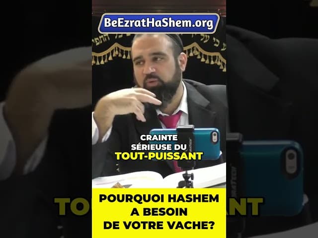 Pourquoi Hashem a besoin de votre vache #Torah #Juif #RabbinYaronReuven