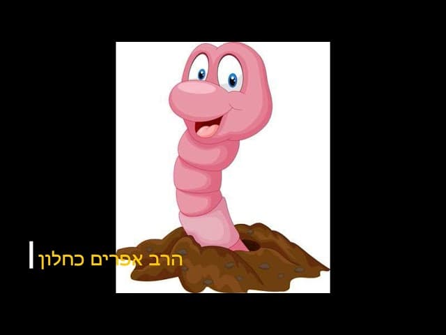 השטן מריח דם שיעור מעניין עם הרב אפרים כחלון