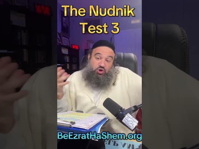 The Nudnik Test 3
