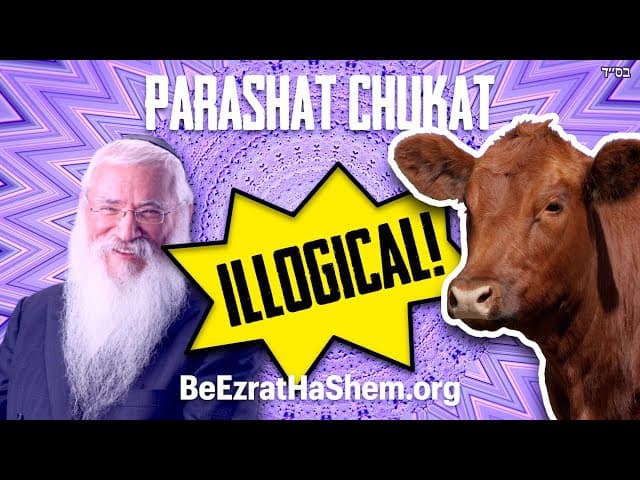 Parashat Chukat For The Heretics