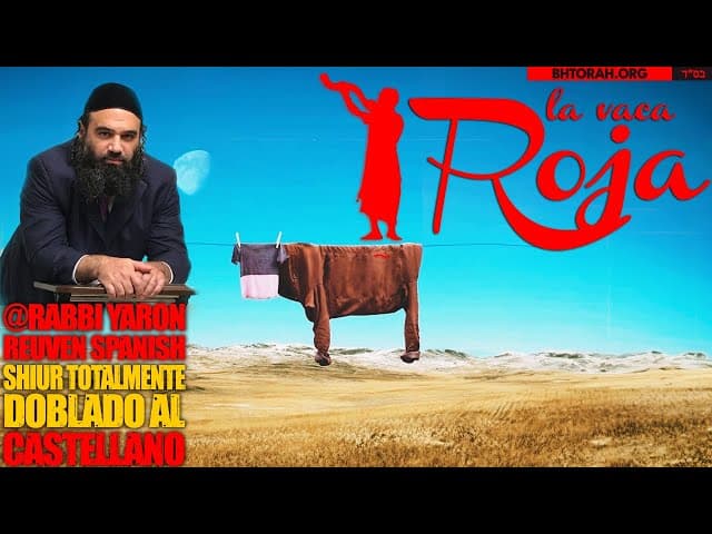 Pará Adumá - El precepto de la vaca roja - Un Shiur doblado al Castellano - Parashá Jukat