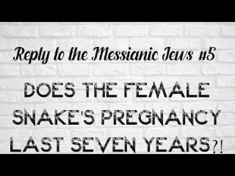 Reply To The Messianic Jews #5  Does The Female Snake's Pregnancy Last 7 Years W/English Subtitles