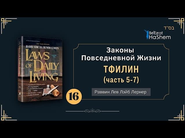 𝟭𝟲. Законы Повседневной Жизни | Тфилин | Раввин Лев Лэйб Лернер