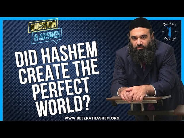   DID HASHEM CREATE THE PERFECT WORLD
