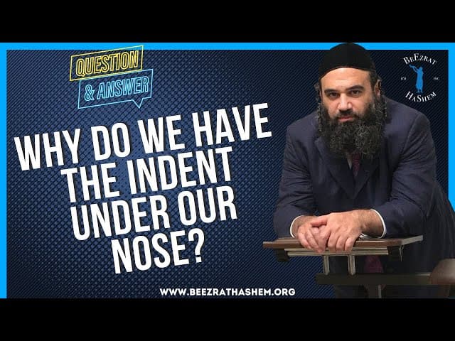 WHY DO WE HAVE THE INDENT UNDER OUR NOSE?