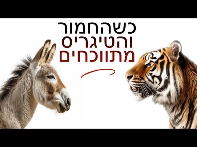 כשהחמור והטיגריס מתווכחים