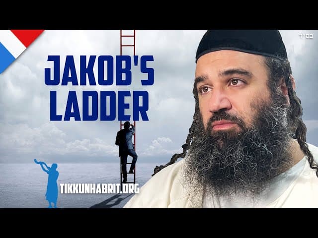 Beïnvloed zaadverspilling het klimmen op Jakob's ladder?