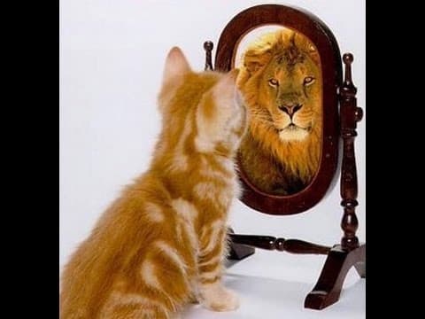 Saving Jewish Communities With A Mirror - MUSSAR  Pirkei Avot (17)