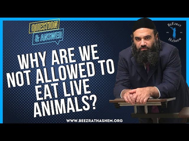 WHY ARE WE NOT ALLOWED TO EAT LIVE ANIMALS?