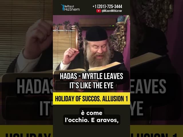 La festa di Sukkot nella Torah  #jewishfestival #sukkot #ebrei #ebraismo